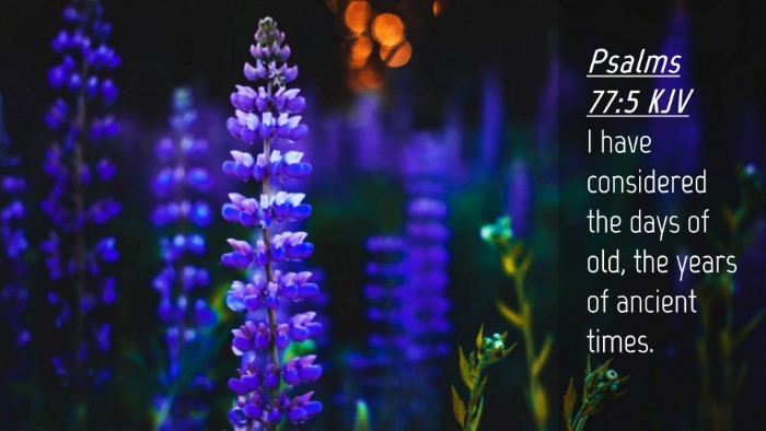 Picture 04 - Psalms 77:5 KJV Desktop Wallpaper - I have considered the days of old, the years of - Desktop Bible Verse Wallpaper