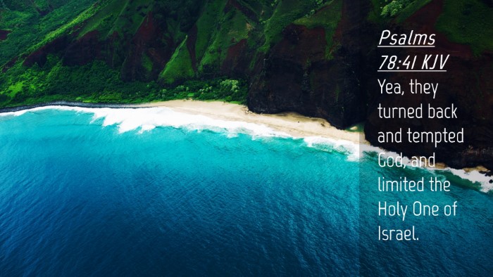 Picture 04 - Psalms 78:41 KJV Desktop Wallpaper - Yea, they turned back and tempted God, and - Desktop Bible Verse Wallpaper