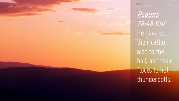 Picture 04 - Psalms 78:48 KJV Desktop Wallpaper - He gave up their cattle also to the hail, and - Desktop Bible Verse Wallpaper