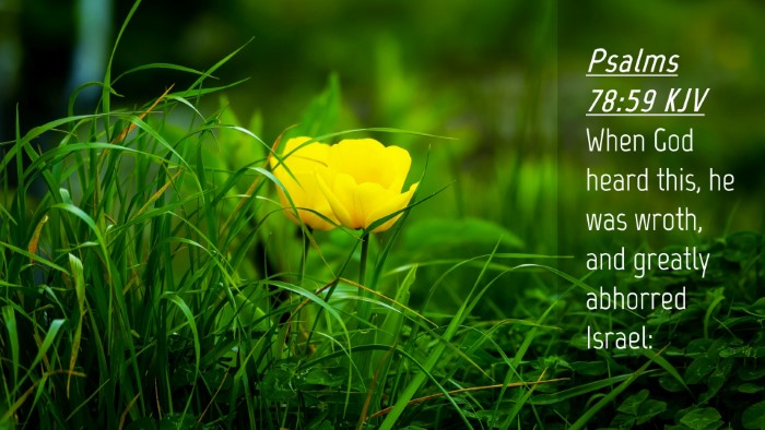 Picture 04 - Psalms 78:59 KJV Desktop Wallpaper - When God heard this, he was wroth, and greatly - Desktop Bible Verse Wallpaper