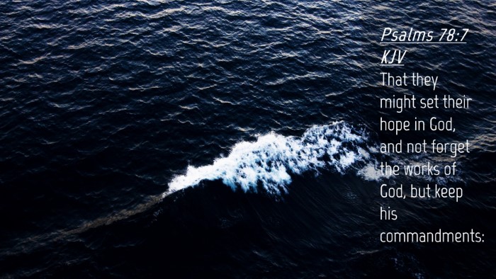 Picture 04 - Psalms 78:7 KJV Desktop Wallpaper - That they might set their hope in God, and not - Desktop Bible Verse Wallpaper