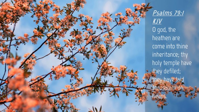 Picture 04 - Psalms 79:1 KJV Desktop Wallpaper - O god, the heathen are come into thine - Desktop Bible Verse Wallpaper