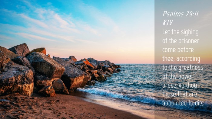Picture 04 - Psalms 79:11 KJV Desktop Wallpaper - Let the sighing of the prisoner come before thee; - Desktop Bible Verse Wallpaper