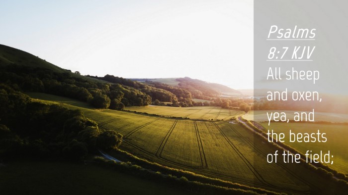 Picture 04 - Psalms 8:7 KJV Desktop Wallpaper - All sheep and oxen, yea, and the beasts of the - Desktop Bible Verse Wallpaper