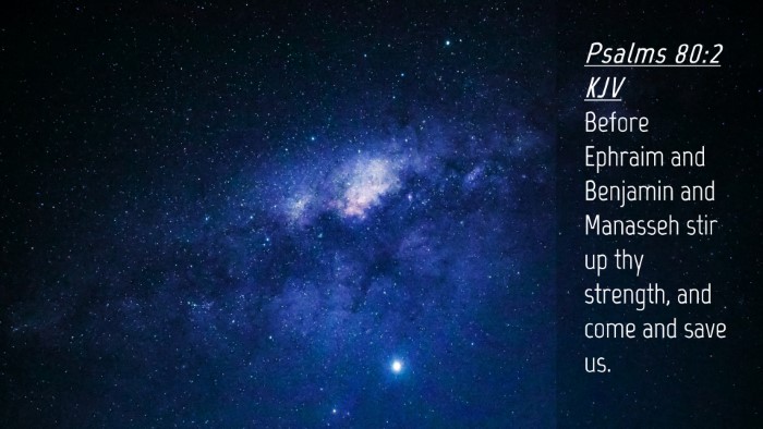 Picture 04 - Psalms 80:2 KJV Desktop Wallpaper - Before Ephraim and Benjamin and Manasseh stir up - Desktop Bible Verse Wallpaper