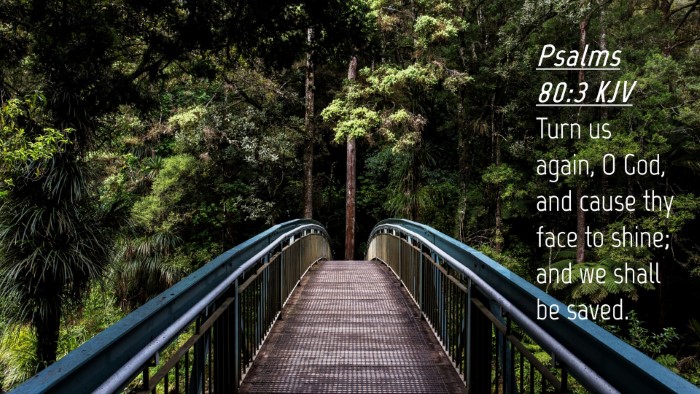 Picture 04 - Psalms 80:3 KJV Desktop Wallpaper - Turn us again, O God, and cause thy face to - Desktop Bible Verse Wallpaper