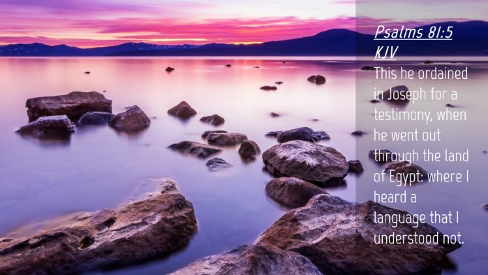 Picture 04 - Psalms 81:5 KJV Desktop Wallpaper - This he ordained in Joseph for a testimony, when - Desktop Bible Verse Wallpaper