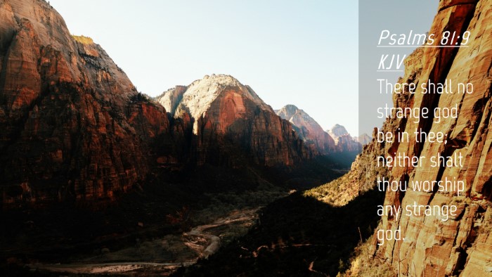 Picture 04 - Psalms 81:9 KJV Desktop Wallpaper - There shall no strange god be in thee; neither - Desktop Bible Verse Wallpaper
