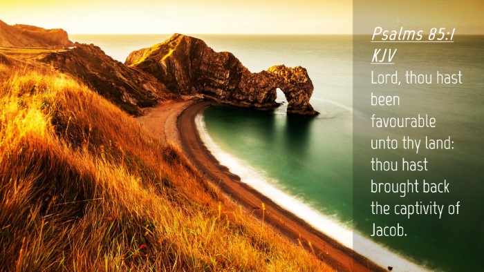 Picture 04 - Psalms 85:1 KJV Desktop Wallpaper - Lord, thou hast been favourable unto thy land: - Desktop Bible Verse Wallpaper