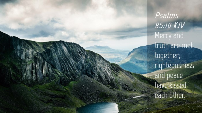 Picture 04 - Psalms 85:10 KJV Desktop Wallpaper - Mercy and truth are met together; righteousness - Desktop Bible Verse Wallpaper