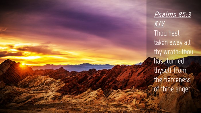 Picture 04 - Psalms 85:3 KJV Desktop Wallpaper - Thou hast taken away all thy wrath: thou hast - Desktop Bible Verse Wallpaper