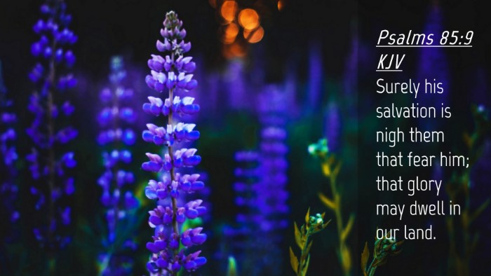 Picture 04 - Psalms 85:9 KJV Desktop Wallpaper - Surely his salvation is nigh them that fear him; - Desktop Bible Verse Wallpaper