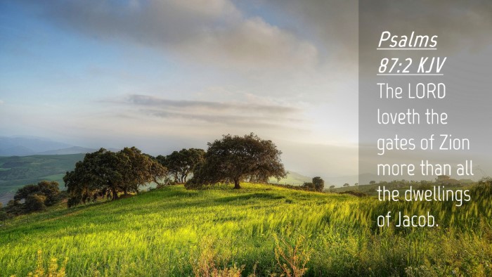 Picture 04 - Psalms 87:2 KJV Desktop Wallpaper - The LORD loveth the gates of Zion more than all - Desktop Bible Verse Wallpaper