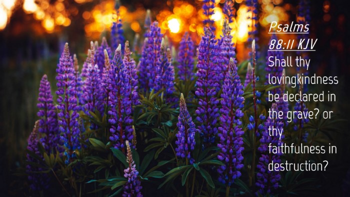 Picture 04 - Psalms 88:11 KJV Desktop Wallpaper - Shall thy lovingkindness be declared in the - Desktop Bible Verse Wallpaper