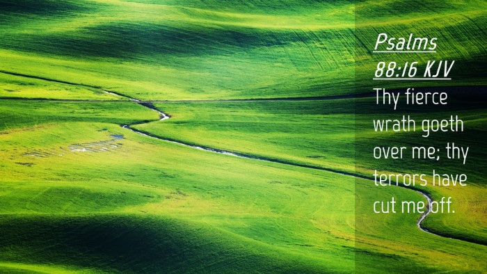 Picture 04 - Psalms 88:16 KJV Desktop Wallpaper - Thy fierce wrath goeth over me; thy terrors have - Desktop Bible Verse Wallpaper