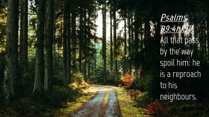 Picture 04 - Psalms 89:41 KJV Desktop Wallpaper - All that pass by the way spoil him: he is a - Desktop Bible Verse Wallpaper