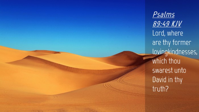 Picture 04 - Psalms 89:49 KJV Desktop Wallpaper - Lord, where are thy former lovingkindnesses, - Desktop Bible Verse Wallpaper