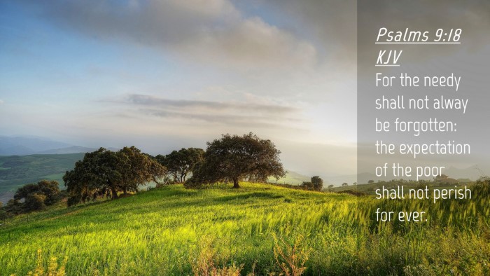 Picture 04 - Psalms 9:18 KJV Desktop Wallpaper - For the needy shall not alway be forgotten: the - Desktop Bible Verse Wallpaper