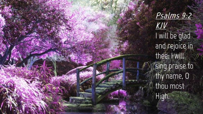 Picture 04 - Psalms 9:2 KJV Desktop Wallpaper - I will be glad and rejoice in thee: I will sing - Desktop Bible Verse Wallpaper