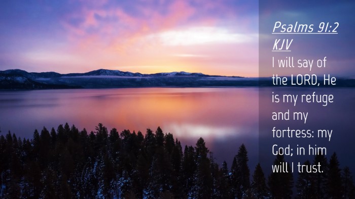 Picture 04 - Psalms 91:2 KJV Desktop Wallpaper - I will say of the LORD, He is my refuge and my - Desktop Bible Verse Wallpaper