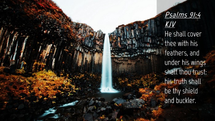 Picture 04 - Psalms 91:4 KJV Desktop Wallpaper - He shall cover thee with his feathers, and under - Desktop Bible Verse Wallpaper