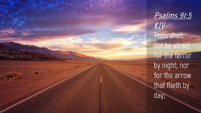 Picture 04 - Psalms 91:5 KJV Desktop Wallpaper - Thou shalt not be afraid for the terror by night; - Desktop Bible Verse Wallpaper