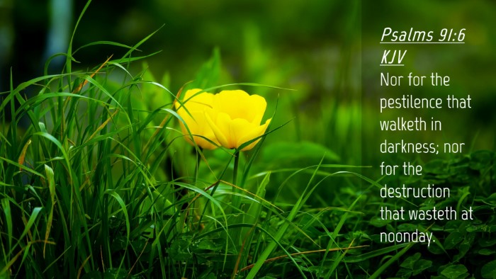 Picture 04 - Psalms 91:6 KJV Desktop Wallpaper - Nor for the pestilence that walketh in darkness; - Desktop Bible Verse Wallpaper