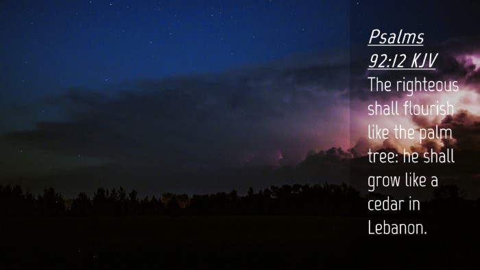 Picture 04 - Psalms 92:12 KJV Desktop Wallpaper - The righteous shall flourish like the palm tree: - Desktop Bible Verse Wallpaper