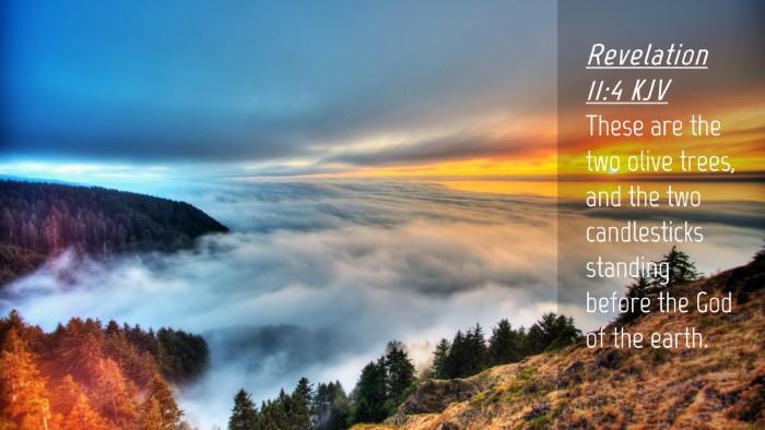 Picture 04 - Revelation 11:4 KJV Desktop Wallpaper - These are the two olive trees, and the two - Desktop Bible Verse Wallpaper