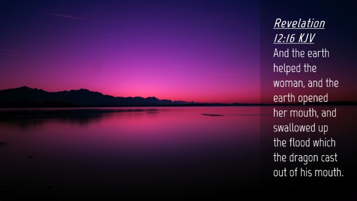 Picture 04 - Revelation 12:16 KJV Desktop Wallpaper - And the earth helped the woman, and the earth - Desktop Bible Verse Wallpaper