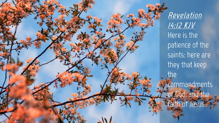 Picture 04 - Revelation 14:12 KJV Desktop Wallpaper - Here is the patience of the saints: here are they - Desktop Bible Verse Wallpaper
