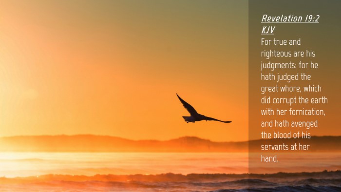 Picture 04 - Revelation 19:2 KJV Desktop Wallpaper - For true and righteous are his judgments: for he - Desktop Bible Verse Wallpaper
