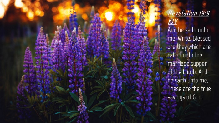 Picture 04 - Revelation 19:9 KJV Desktop Wallpaper - And he saith unto me, Write, Blessed are they - Desktop Bible Verse Wallpaper