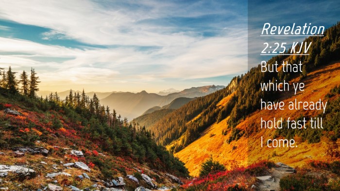 Picture 04 - Revelation 2:25 KJV Desktop Wallpaper - But that which ye have already hold fast till I - Desktop Bible Verse Wallpaper