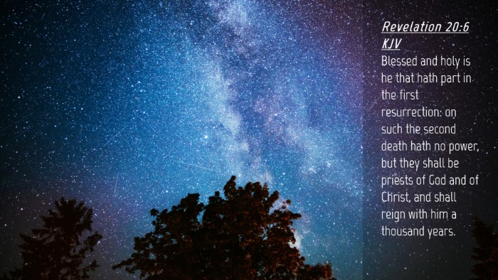 Picture 04 - Revelation 20:6 KJV Desktop Wallpaper - Blessed and holy is he that hath part in the - Desktop Bible Verse Wallpaper
