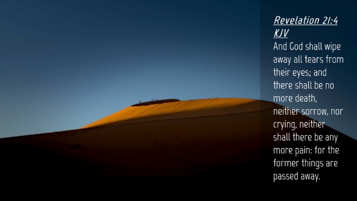 Picture 04 - Revelation 21:4 KJV Desktop Wallpaper - And God shall wipe away all tears from their - Desktop Bible Verse Wallpaper