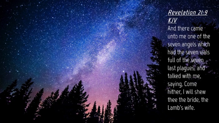Picture 04 - Revelation 21:9 KJV Desktop Wallpaper - And there came unto me one of the seven angels - Desktop Bible Verse Wallpaper