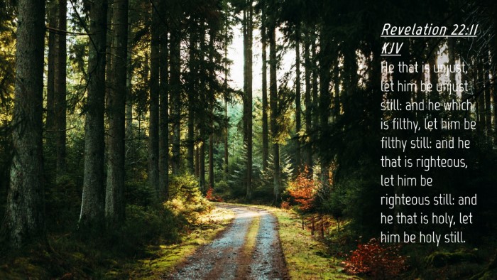 Picture 04 - Revelation 22:11 KJV Desktop Wallpaper - He that is unjust, let him be unjust still: and - Desktop Bible Verse Wallpaper
