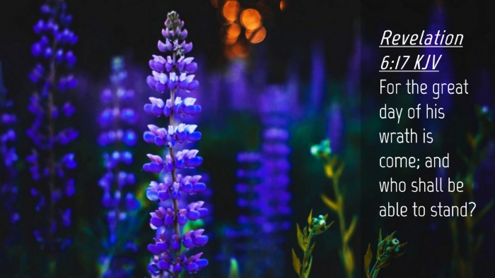 Picture 04 - Revelation 6:17 KJV Desktop Wallpaper - For the great day of his wrath is come; and who - Desktop Bible Verse Wallpaper