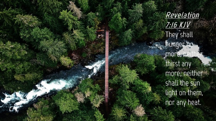 Picture 04 - Revelation 7:16 KJV Desktop Wallpaper - They shall hunger no more, neither thirst any - Desktop Bible Verse Wallpaper