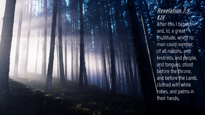 Picture 04 - Revelation 7:9 KJV Desktop Wallpaper - After this I beheld, and, lo, a great multitude, - Desktop Bible Verse Wallpaper