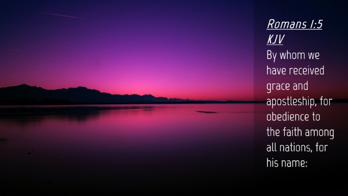 Picture 04 - Romans 1:5 KJV Desktop Wallpaper - By whom we have received grace and apostleship, - Desktop Bible Verse Wallpaper