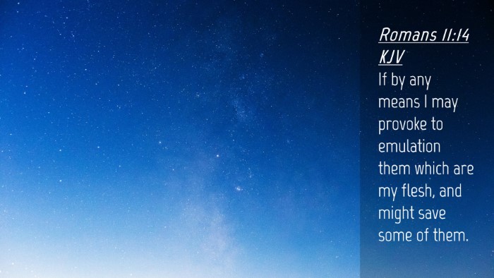 Picture 04 - Romans 11:14 KJV Desktop Wallpaper - If by any means I may provoke to emulation them - Desktop Bible Verse Wallpaper