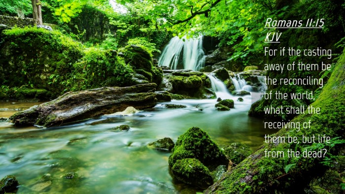 Picture 04 - Romans 11:15 KJV Desktop Wallpaper - For if the casting away of them be the - Desktop Bible Verse Wallpaper