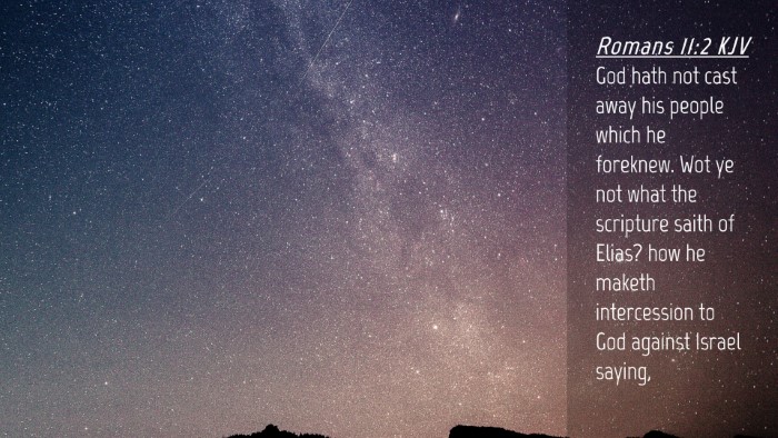 Picture 04 - Romans 11:2 KJV Desktop Wallpaper - God hath not cast away his people which he - Desktop Bible Verse Wallpaper