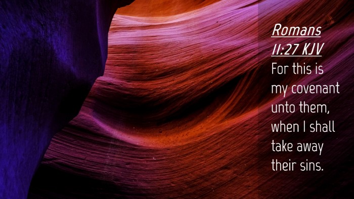 Picture 04 - Romans 11:27 KJV Desktop Wallpaper - For this is my covenant unto them, when I shall - Desktop Bible Verse Wallpaper