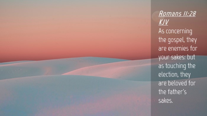 Picture 04 - Romans 11:28 KJV Desktop Wallpaper - As concerning the gospel, they are enemies for - Desktop Bible Verse Wallpaper