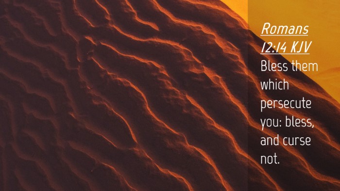Picture 04 - Romans 12:14 KJV Desktop Wallpaper - Bless them which persecute you: bless, and curse - Desktop Bible Verse Wallpaper