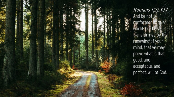 Picture 04 - Romans 12:2 KJV Desktop Wallpaper - And be not conformed to this world: but be ye - Desktop Bible Verse Wallpaper