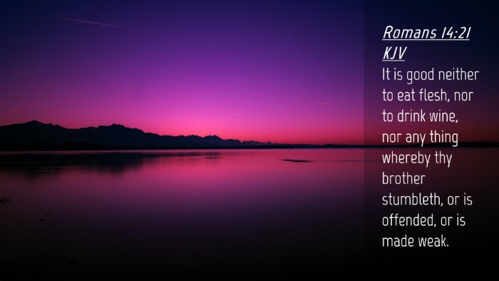 Picture 04 - Romans 14:21 KJV Desktop Wallpaper - It is good neither to eat flesh, nor to drink - Desktop Bible Verse Wallpaper